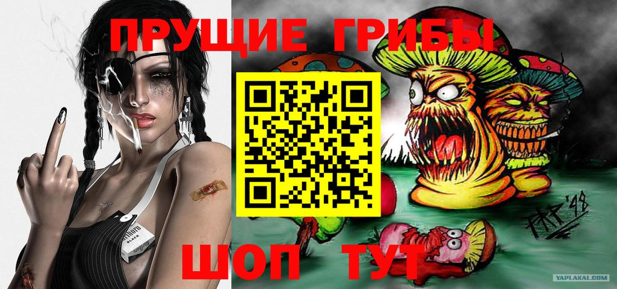 Псилоцибиновые грибы GOLDEN TEACHER  даркнет сайт  Кашира  Вход с VPN 